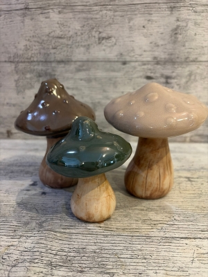 Mushroom Family