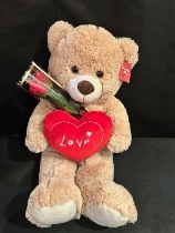 Teddy Amour